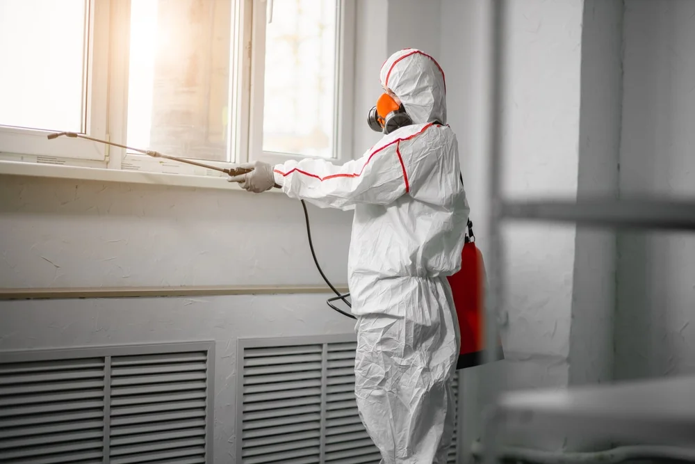 Professional mold remediation services in Christiana, TN
